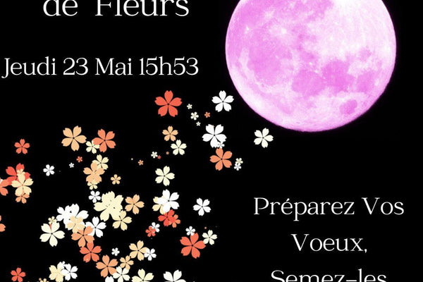 Célébration de la Pleine Lune des Fleurs : Connexion et Manifestation - Bien-Etre-Au-Quotidien.com