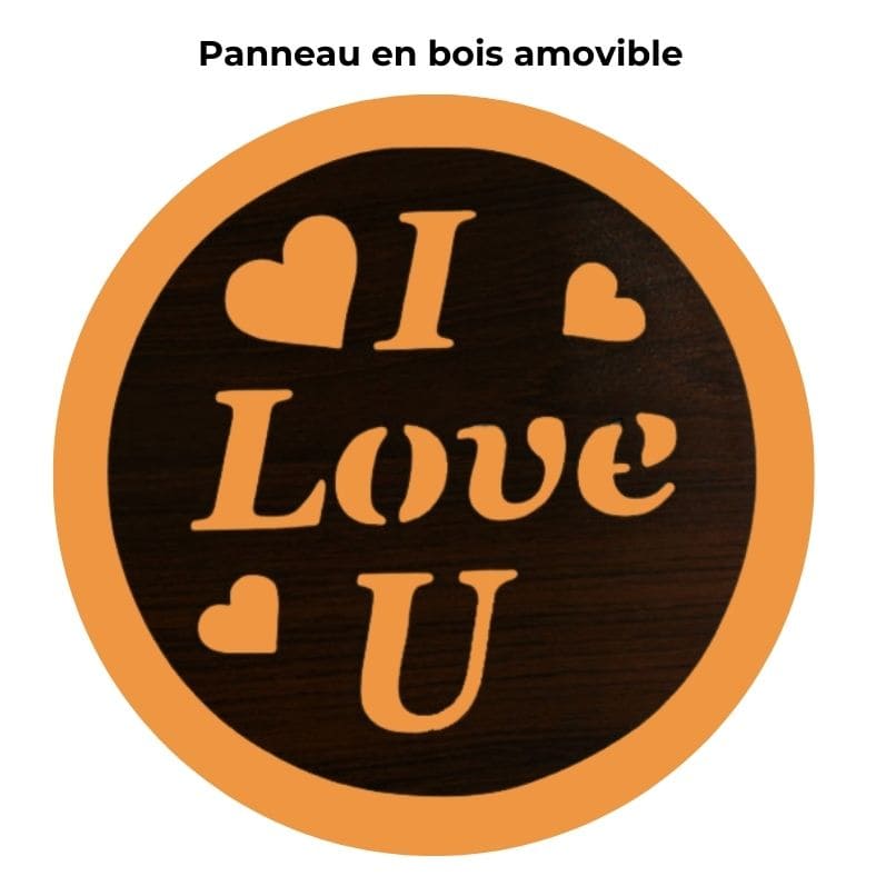 Lampe en Pierre de Sel de l'Himalaya - I Love U