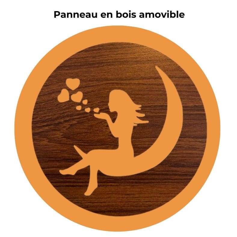 Lampe en Pierre de Sel de l'Himalaya - Amour Lunaire