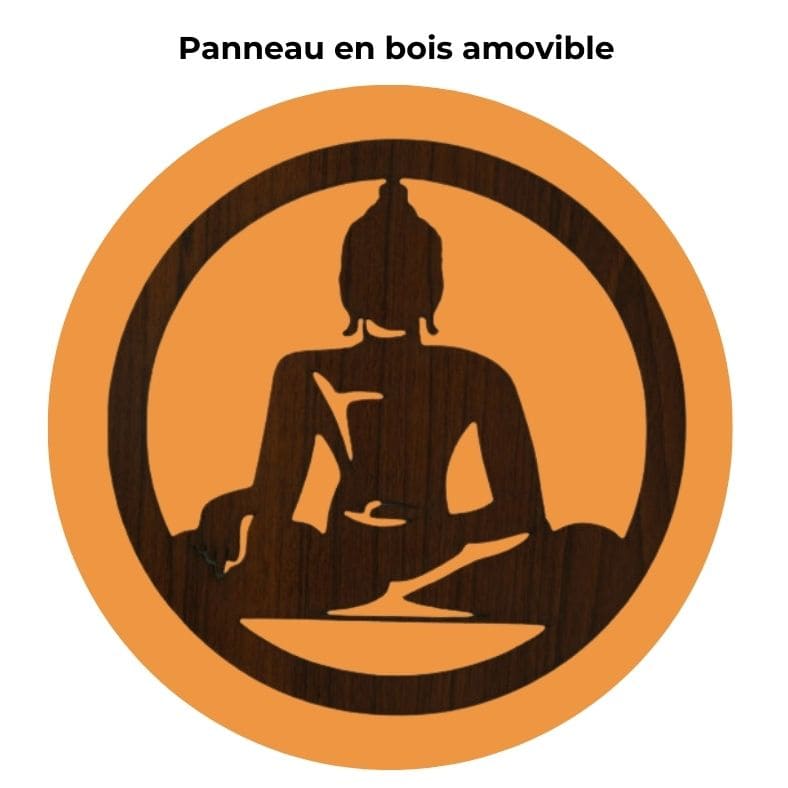 Lampe en Pierre de Sel de l'Himalaya - Bouddha