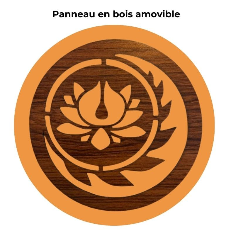 Lampe en Pierre de Sel de l'Himalaya - Lotus Mantra