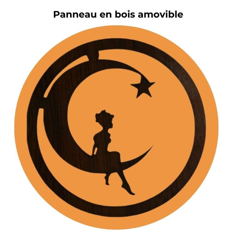 Lampe en Pierre de Sel de l'Himalaya - Petite princesse lune