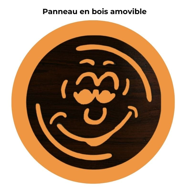 Lampe en Pierre de Sel de l'Himalaya - Smiley